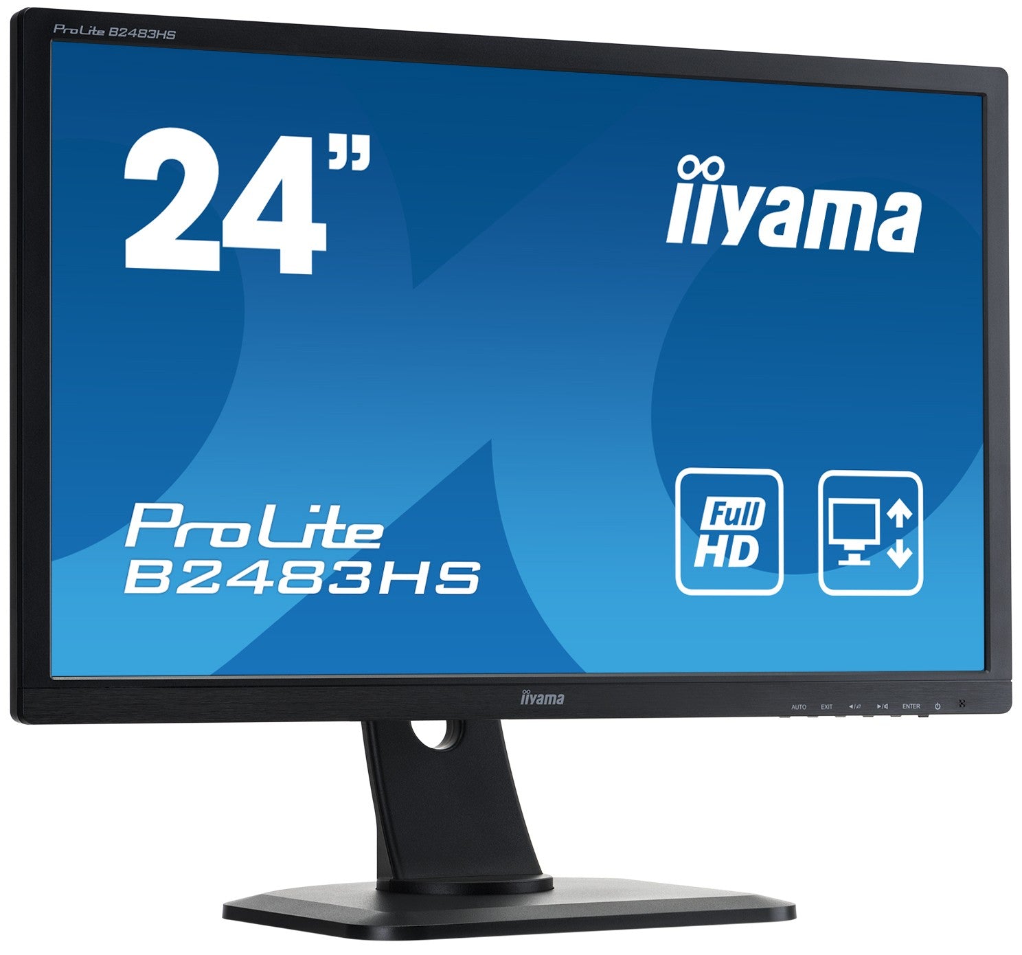 Iiyama ProLite B2483HS Reconditionné en France