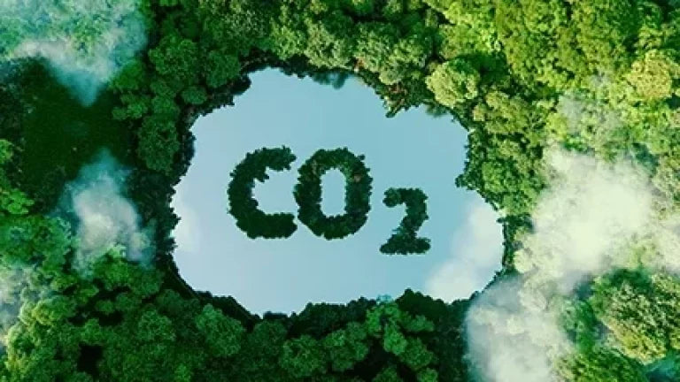 Qu’est ce que le bilan carbone ?